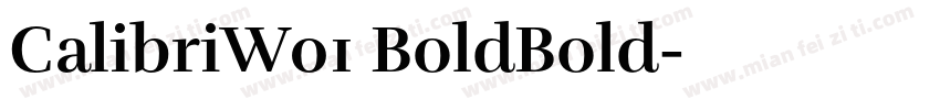 CalibriW01 BoldBold字体转换